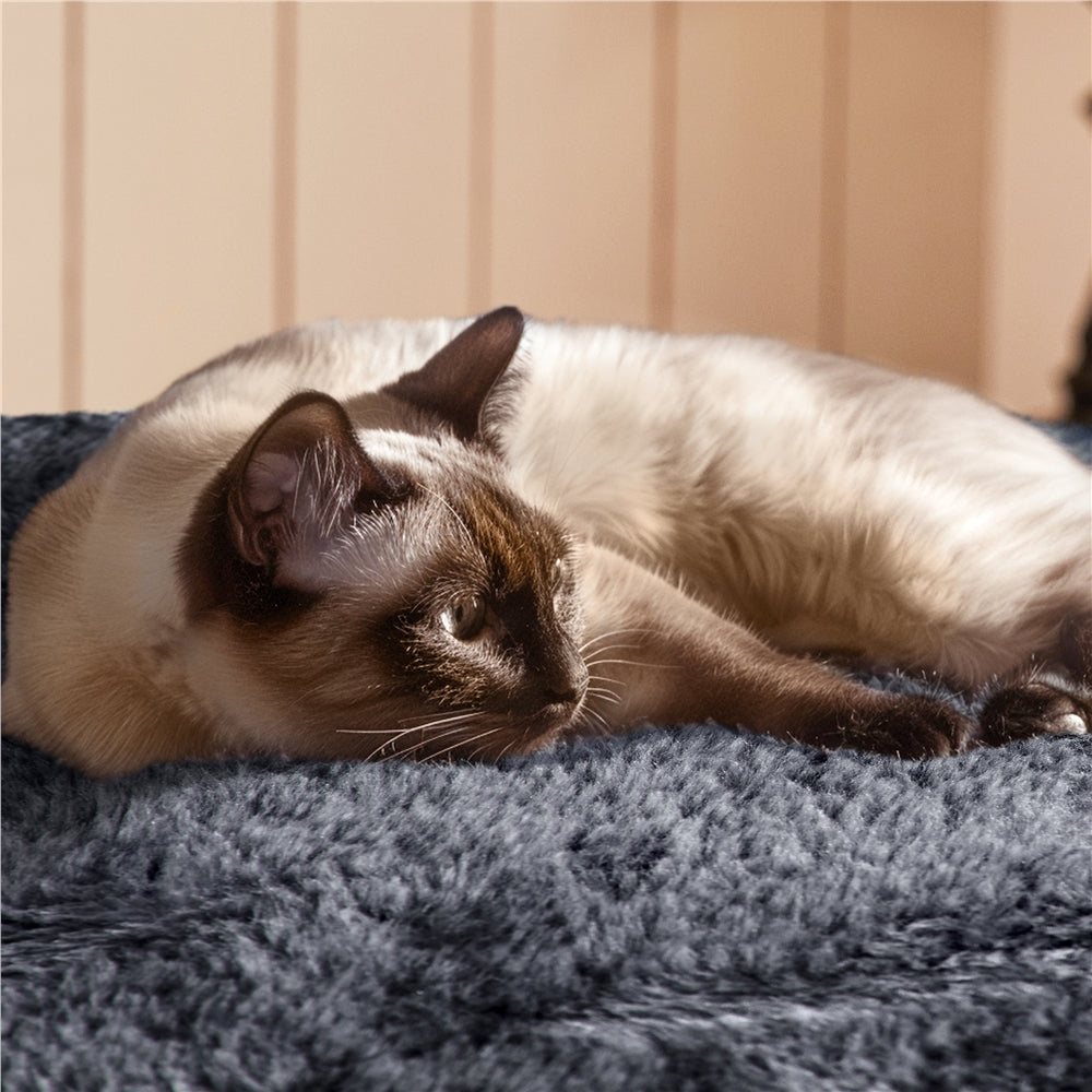Alden Design 54.5" H Double Condo Cat Tree with Scratching Post Tower, Dark Gray — product image 11
