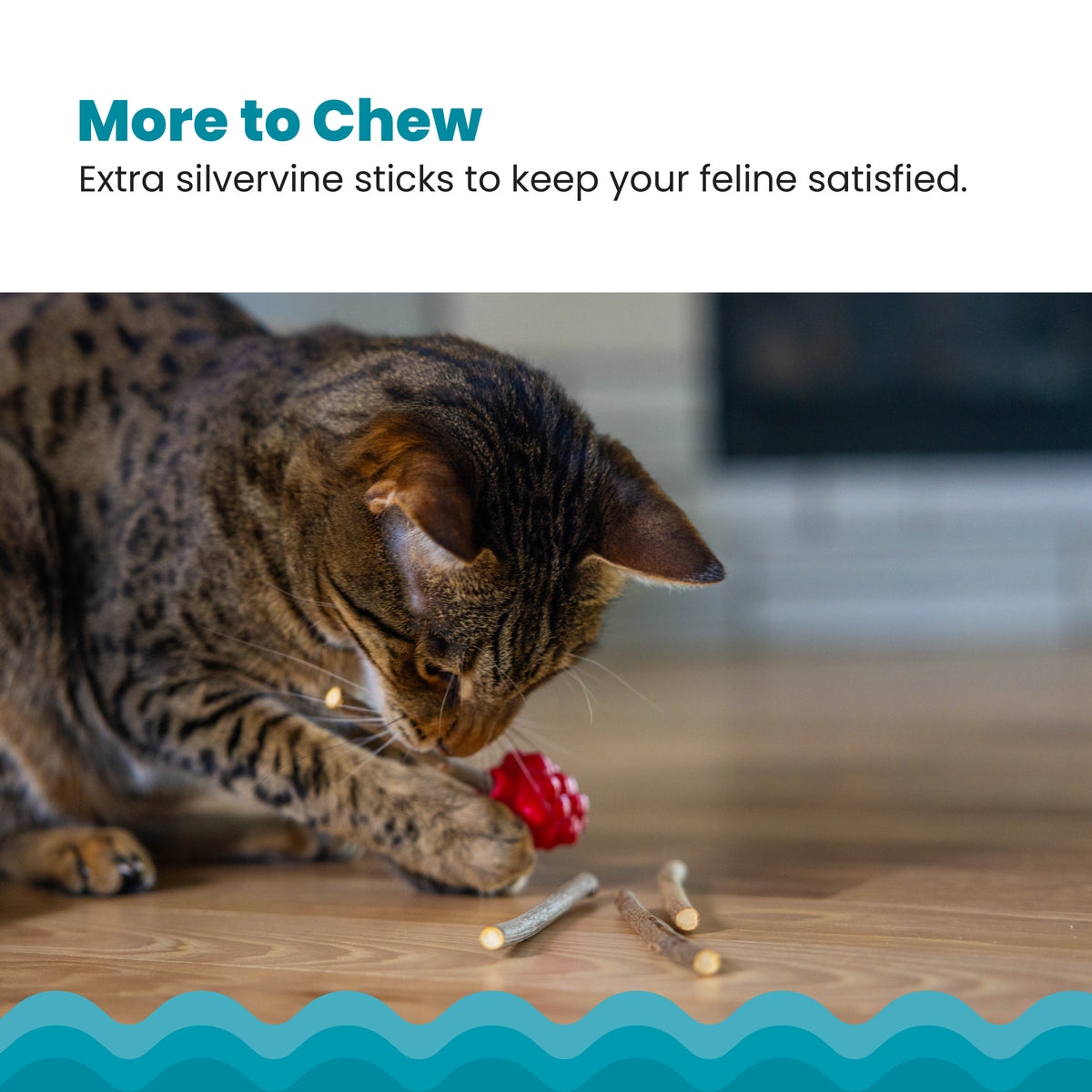 Catstages Dental Raspberry Teether with Silvervine Sticks, Cat Teething Toy, Red — product image 5
