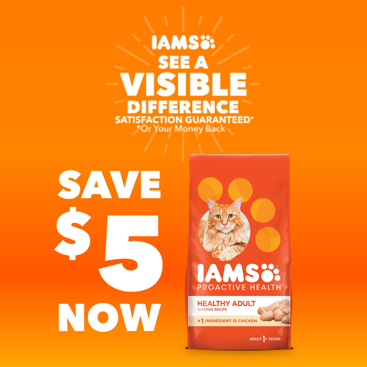 Iams Proactive Health Salmon Dry Cat Food, 7 Lb Bag — product image 16