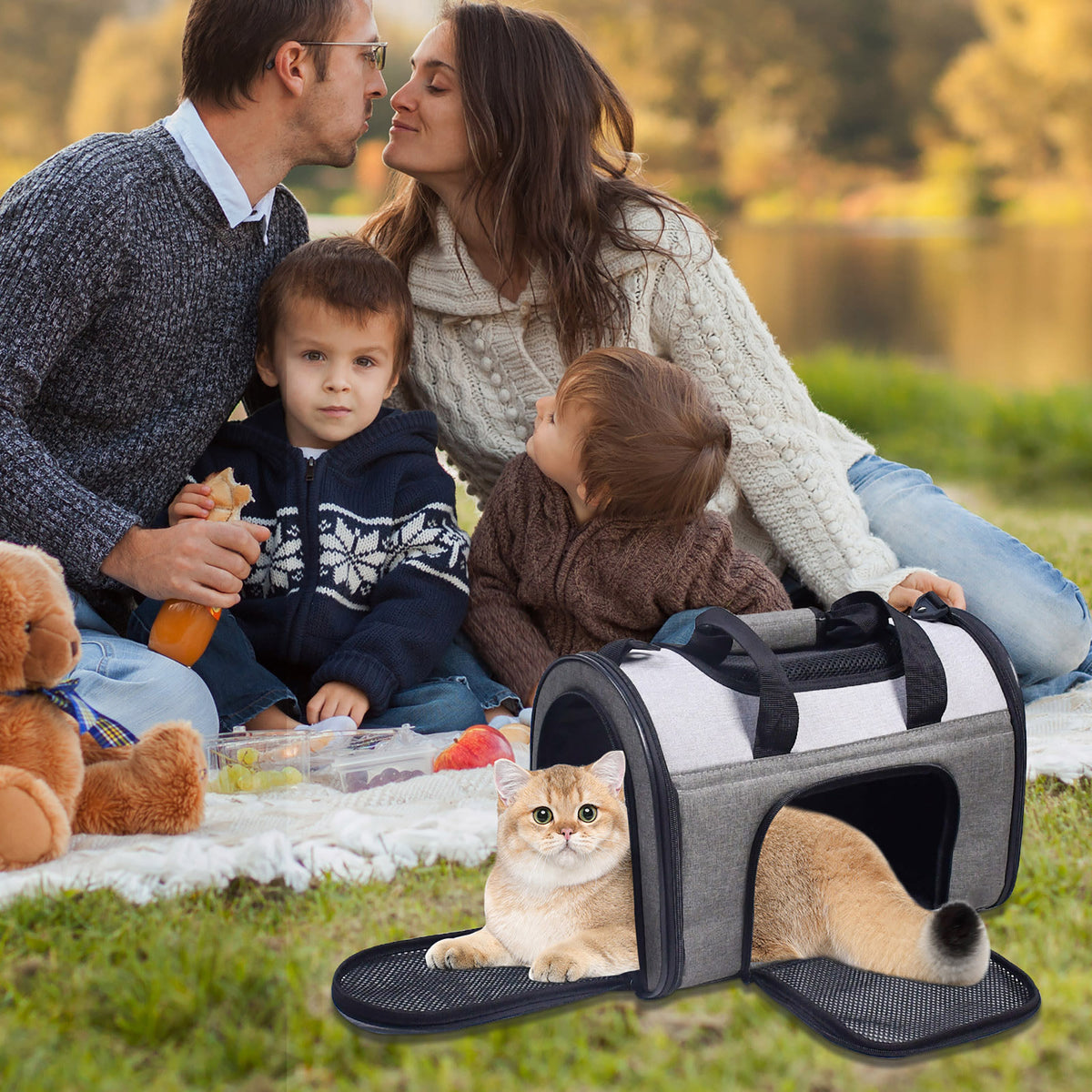 JESPET & GOOPAWS: Sport Airline Pet Carrier - Smoke Grey - 16", Dogs Cats Up To 10lbs, Soft-Sided Collapsible Kennel, Airline Approved, Travel Handbag — product image 9
