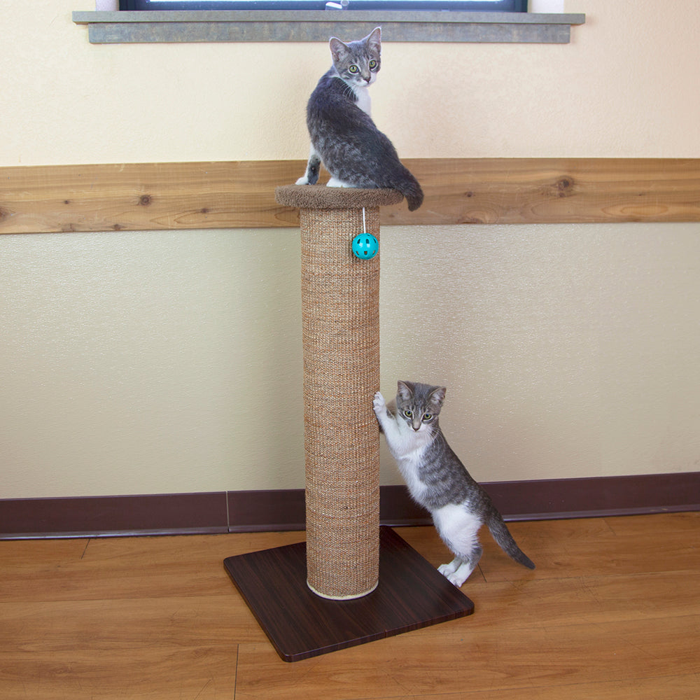 Kitty City Premium Woven Sisal Scratching Post Perch — product image 9