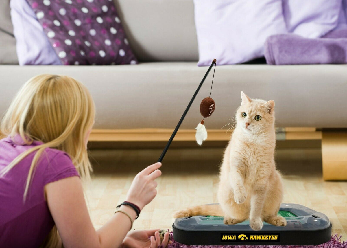 NCAA Illinois Fighting Illini CAT Scratcher Toy with Catnip Plush & Feather Cat Toy 5-in-1 Kitty Toy — product image 3