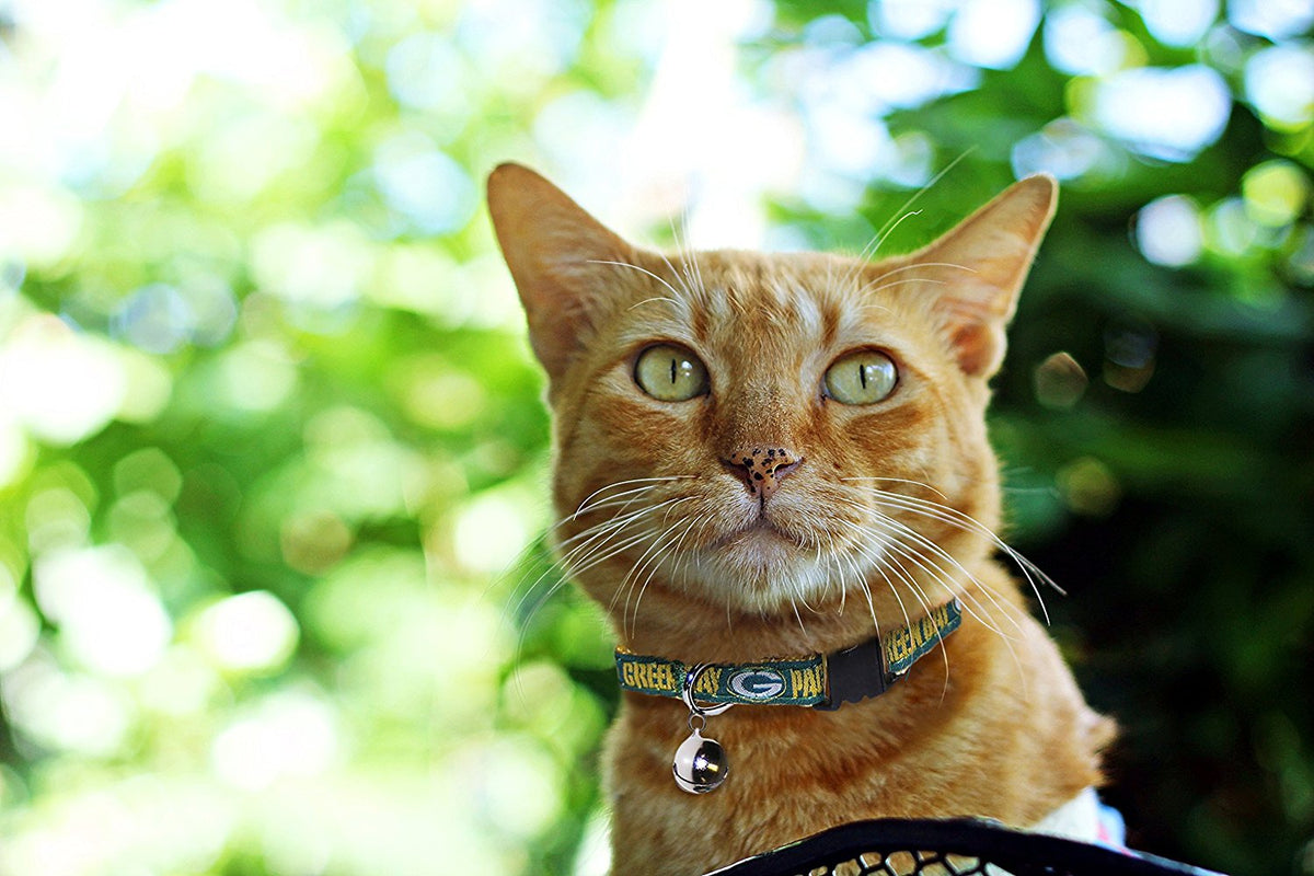 Pets First NFL Green Bay Packers Cat Collar — product image 3