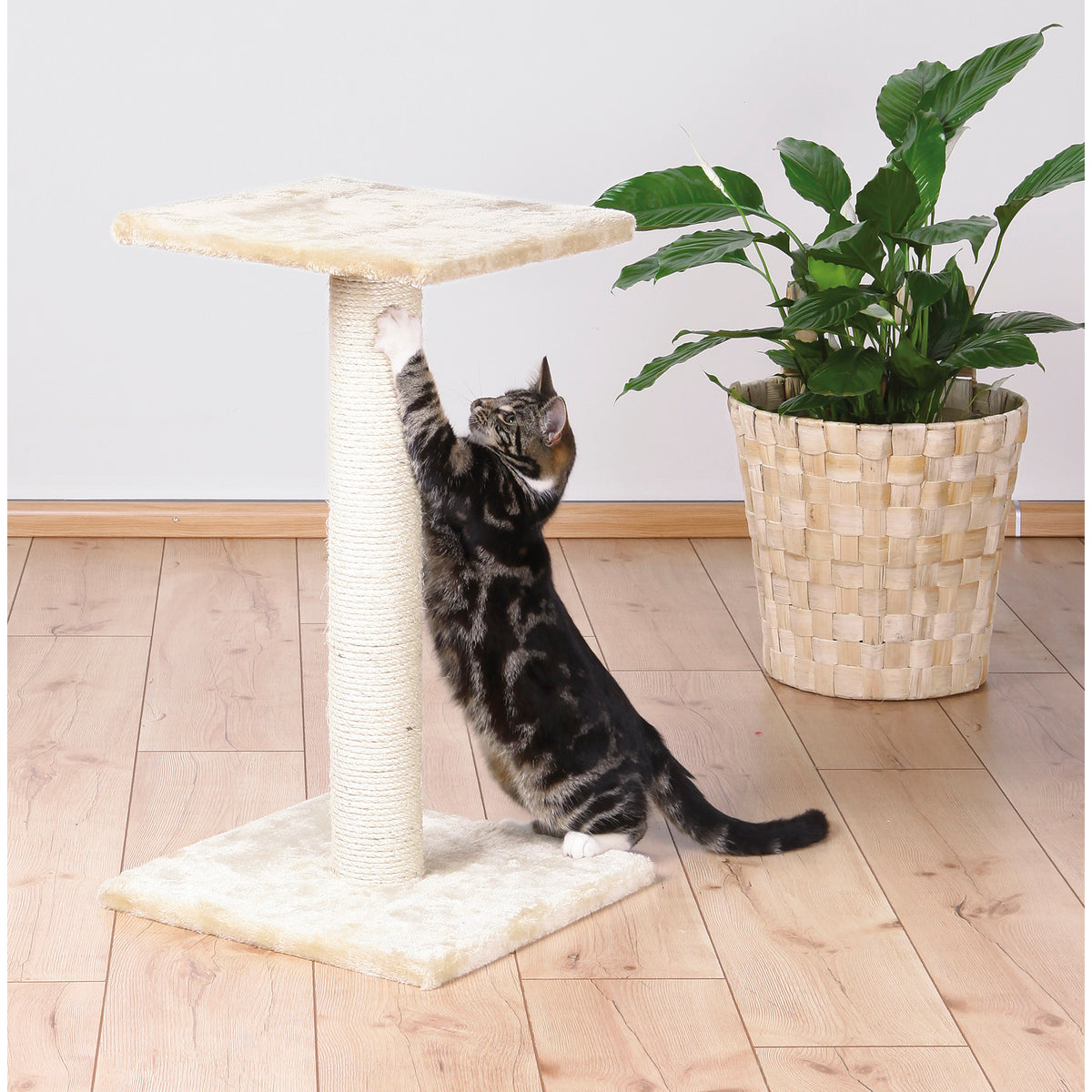 TRIXIE Espejo 27" Sisal Cat Scratching Post with Plush Platform, Beige — product image 5