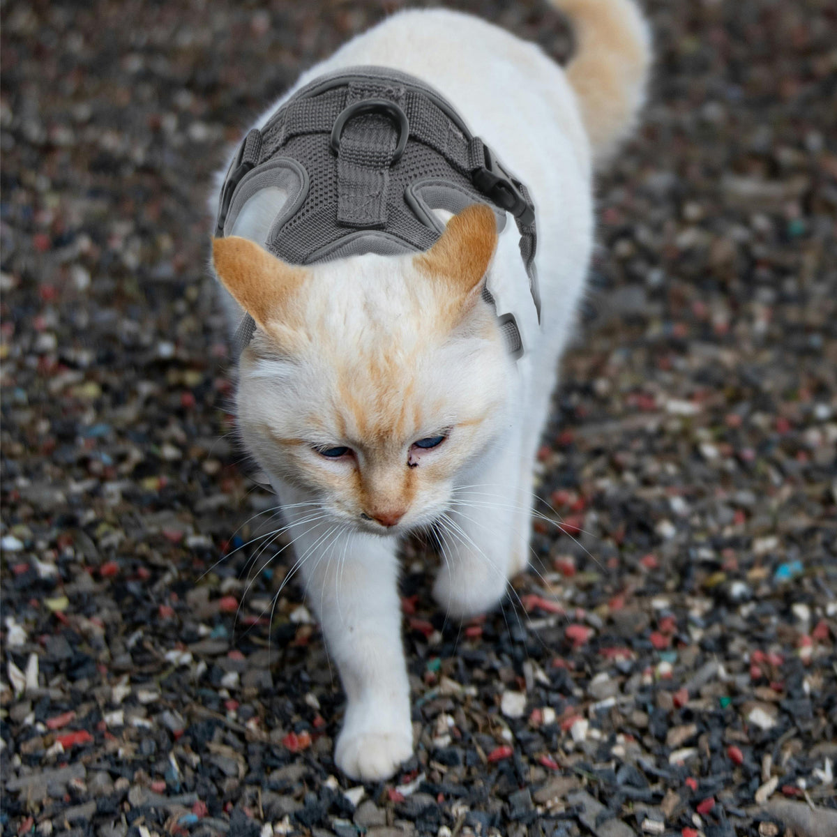 Unique Bargains Adjustable Cat Harness Leash Set With Reflective Strips Gray S — product image 6