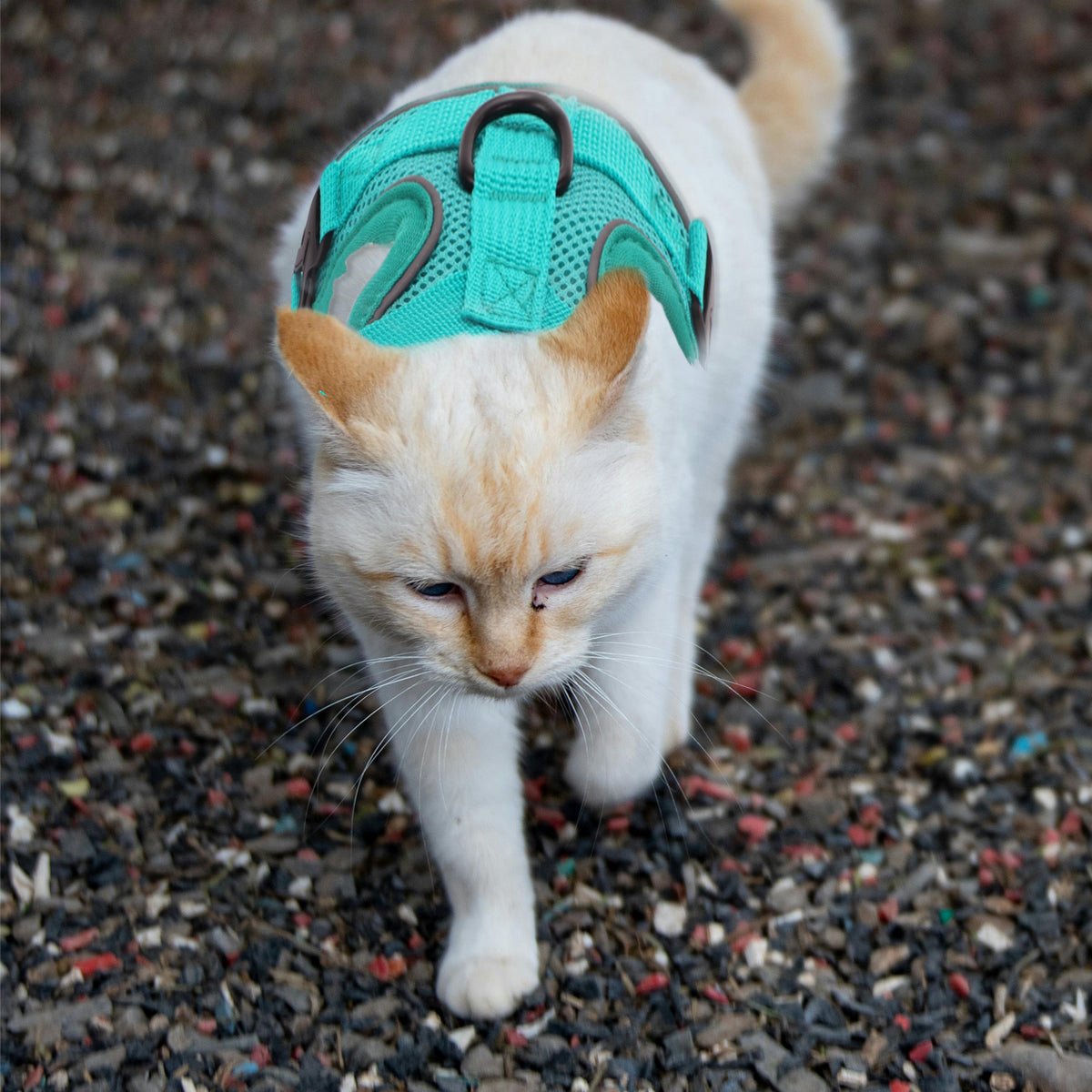 Unique Bargains Adjustable Cats Harness and Leash Set with Reflective Strips Lake Blue M — product image 6