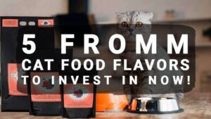 Read more about the article 5 Fromm Cat Food Flavors to Invest In Now!