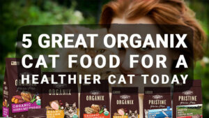 Read more about the article 5 Great Organix Cat Food For a Healthier Cat Today