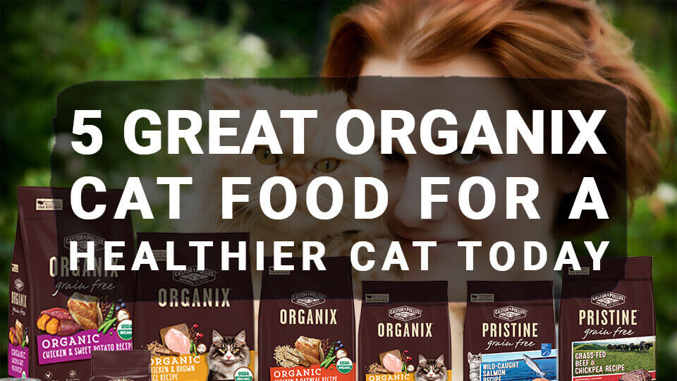 You are currently viewing 5 Great Organix Cat Food For a Healthier Cat Today