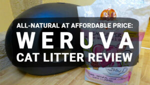 Read more about the article All-Natural at Affordable Price: Weruva Cat Litter Review