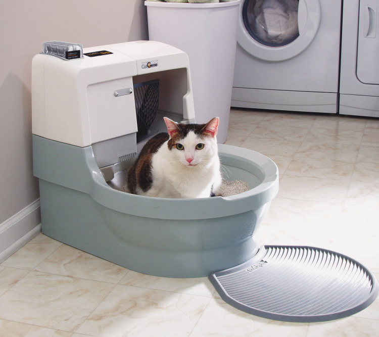 You are currently viewing Best Automatic Litter Box in 2020 – Buyers Guide