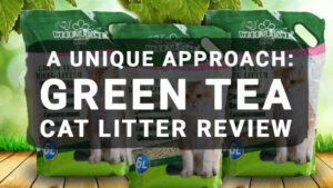 Read more about the article A Unique Approach: Green Tea Cat Litter Review
