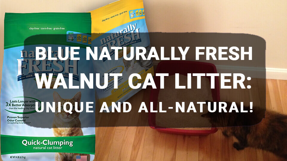 You are currently viewing BLUE Naturally Fresh Walnut Cat Litter: Unique and All-Natural!