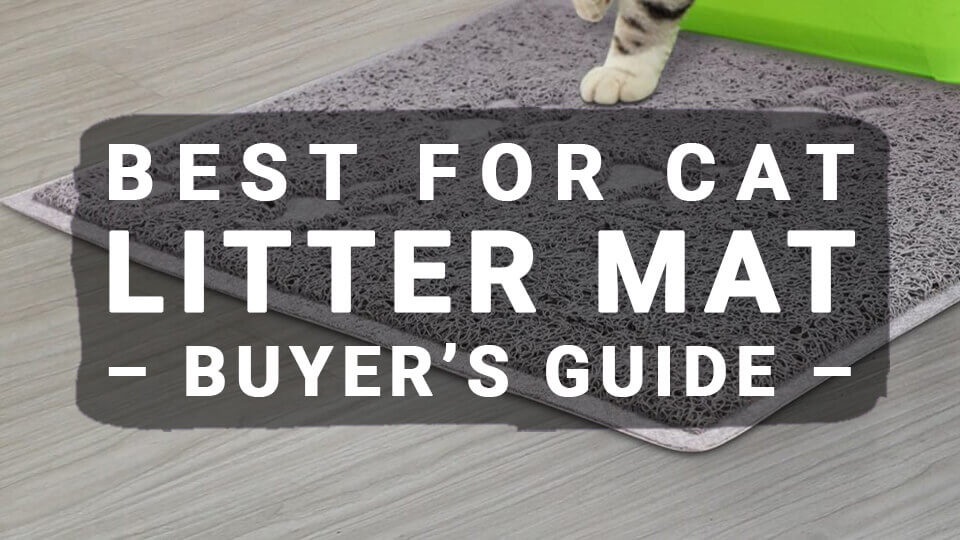You are currently viewing Cat Litter Mat – Buyer’s Guide (Updated 2020)