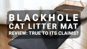Read more about the article Blackhole Cat Litter Mat Review: True To Its Claims?