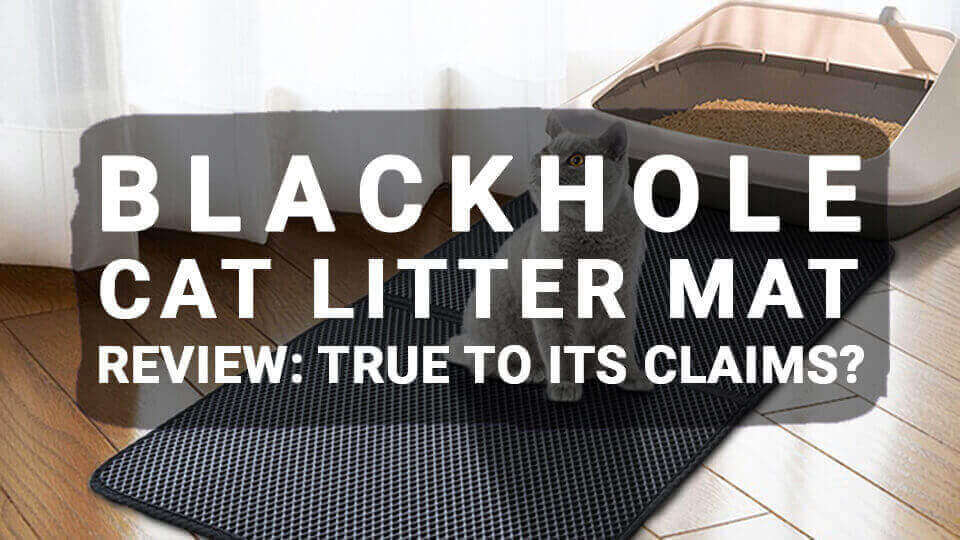 You are currently viewing Blackhole Cat Litter Mat Review: True To Its Claims?