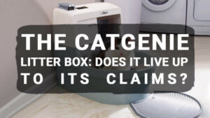 Read more about the article The CatGenie Litter Box: Does It Live Up To Its Claims?