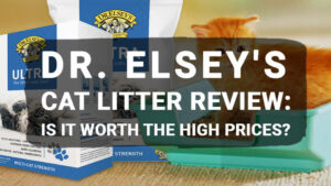 Read more about the article Dr. Elsey’s Cat Litter Review: Is It Worth the High Prices?