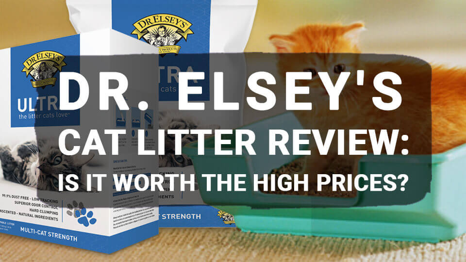 You are currently viewing Dr. Elsey’s Cat Litter Review: Is It Worth the High Prices?