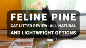 Read more about the article Feline Pine Cat Litter Review: All-Natural and Lightweight Options