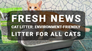 Read more about the article Fresh News Cat Litter: Environment-Friendly Litter For All Cats
