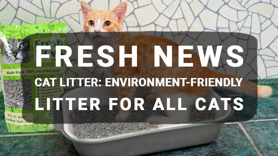 You are currently viewing Fresh News Cat Litter: Environment-Friendly Litter For All Cats