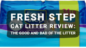 Read more about the article Fresh Step Cat Litter Review