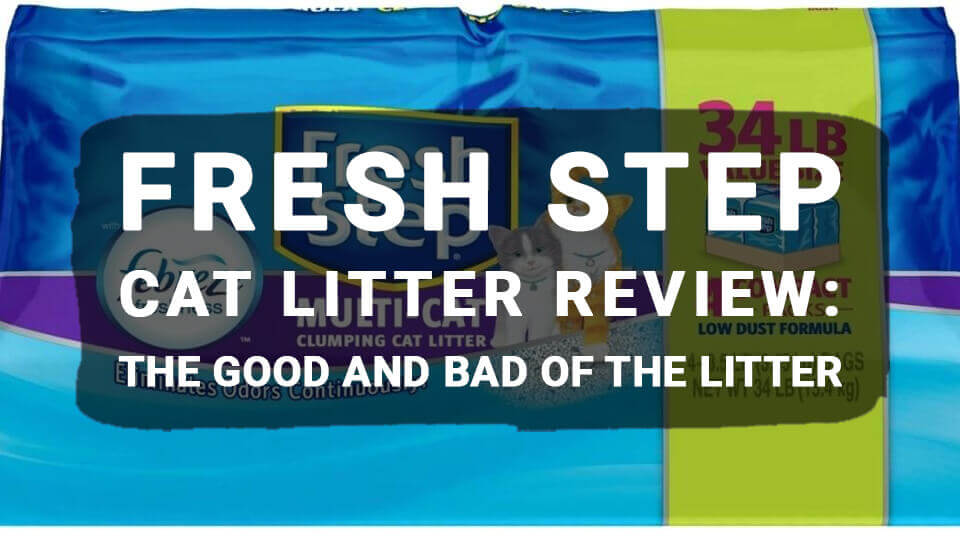 You are currently viewing Fresh Step Cat Litter Review