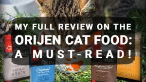 Read more about the article My Full Review on the Orijen Cat Food: A Must-Read!