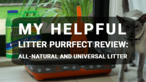 Read more about the article My Helpful Litter Purrfect Review: All-Natural and Universal Litter