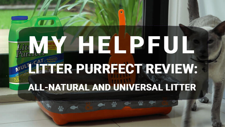 You are currently viewing My Helpful Litter Purrfect Review: All-Natural and Universal Litter