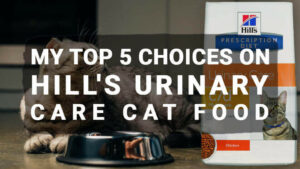 Read more about the article My Top 5 Choices on Hill’s Urinary Care Cat Food