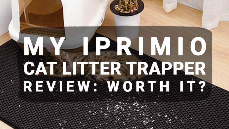 You are currently viewing My iPrimio Cat Litter Trapper Review: Worth It?