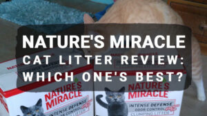 Read more about the article Nature’s Miracle Cat Litter Review: Which One’s Best?