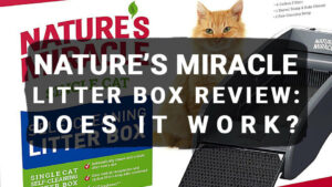 Read more about the article Nature’s Miracle Litter Box Review: Does It Work?