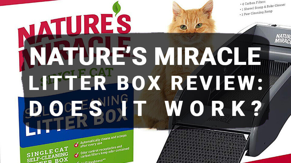 You are currently viewing Nature’s Miracle Litter Box Review: Does It Work?