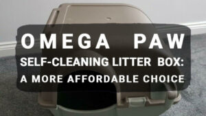 Read more about the article Omega Paw Self-Cleaning Litter Box: A More Affordable Choice