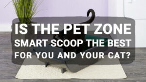 Read more about the article Is the Pet Zone Smart Scoop the Best For You and Your Cat?