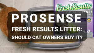 Read more about the article ProSense Fresh Results Litter: Should Cat Owners Buy It?
