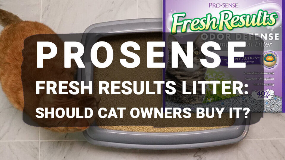 You are currently viewing ProSense Fresh Results Litter: Should Cat Owners Buy It?