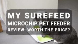 Read more about the article My Surefeed Microchip Pet Feeder Review: Worth the Price?