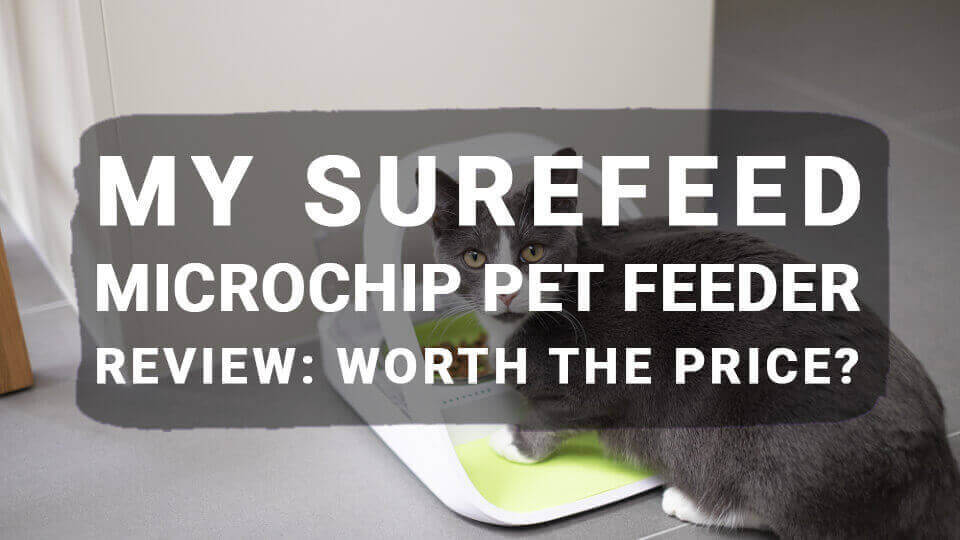 You are currently viewing My Surefeed Microchip Pet Feeder Review: Worth the Price?
