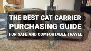 Read more about the article The Best Cat Carrier Purchasing Guide for Safe and Comfortable Travel
