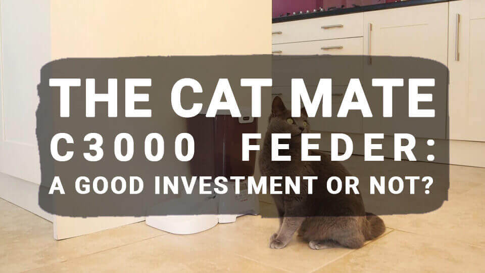 You are currently viewing The Cat Mate C3000 Feeder: A Good Investment or Not?