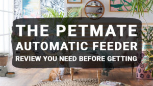 Read more about the article The Petmate Automatic Feeder Review You Need Before Getting