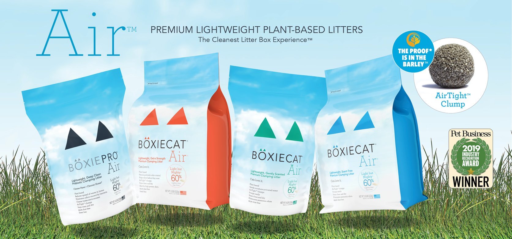 You are currently viewing BoxieCat Litter Guide: All You Need To Know
