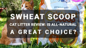 Read more about the article sWheat Scoop Cat Litter Review: Is All-Natural a Great Choice?