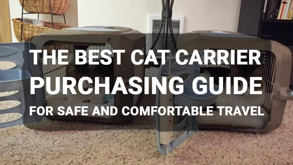 The-Best-Cat-Carrier