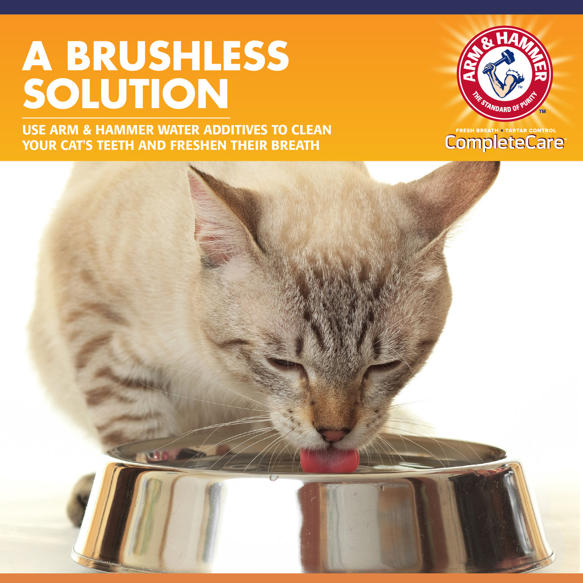 (2 pack) Arm & Hammer Complete Care Dental Water Additive for Cats, 8 fl oz — product image 7