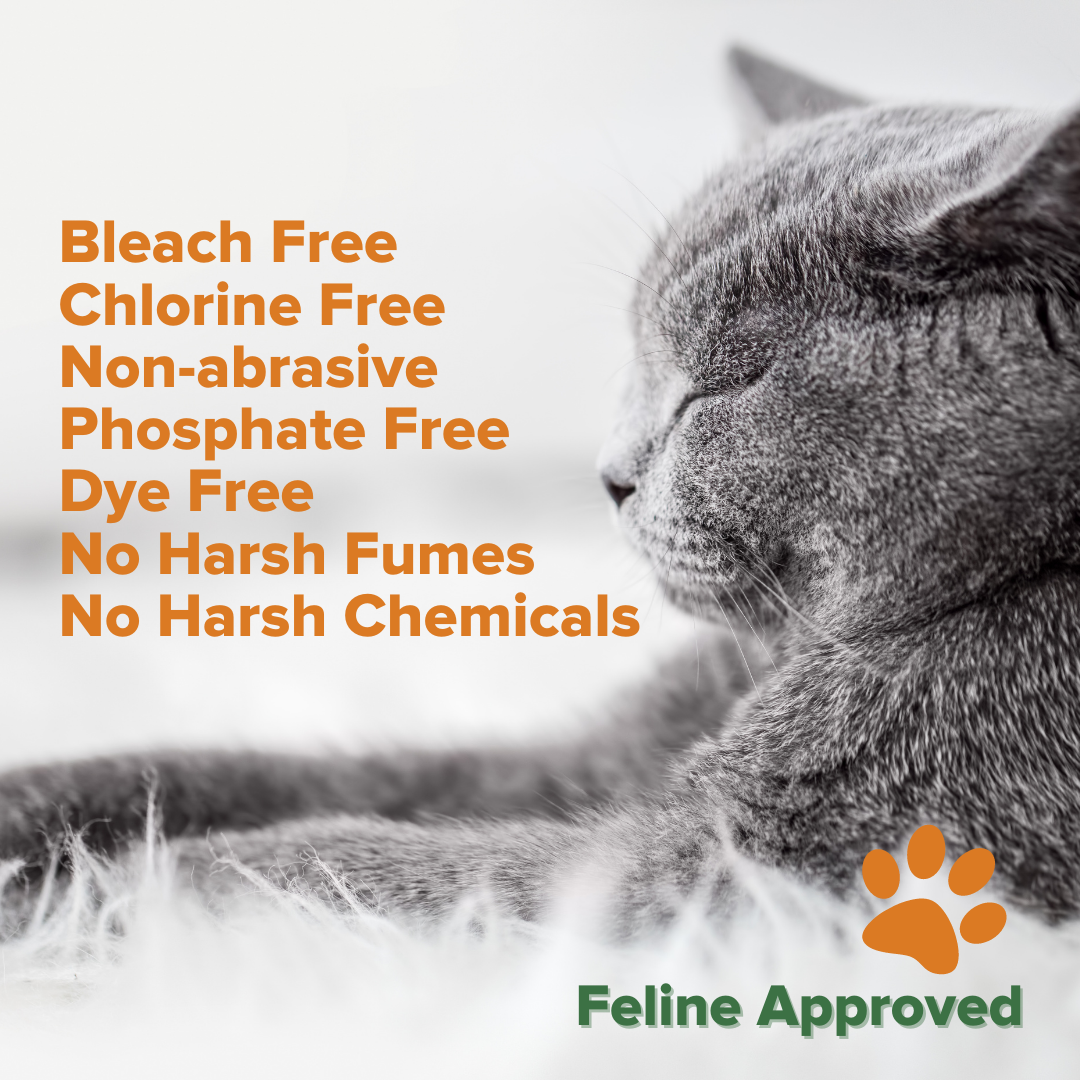 (2 pack) Citrus Magic Pet One-Step Disinfectant Cleaner, 22 Fluid Ounce — product image 4